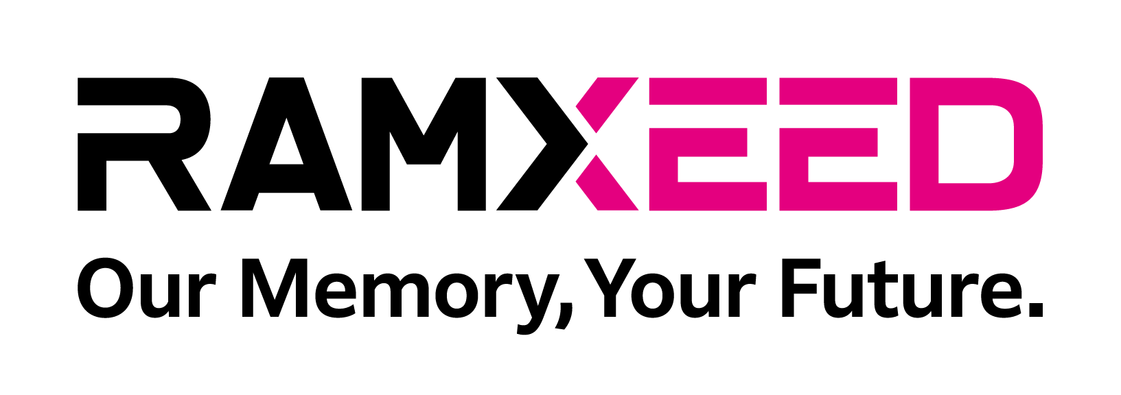 RAMXEED株式会社 様