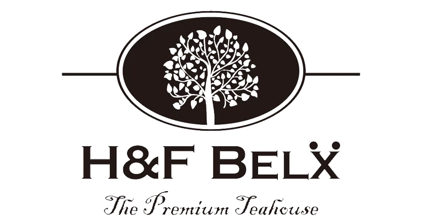 H&F BELX Holdings株式会社 様