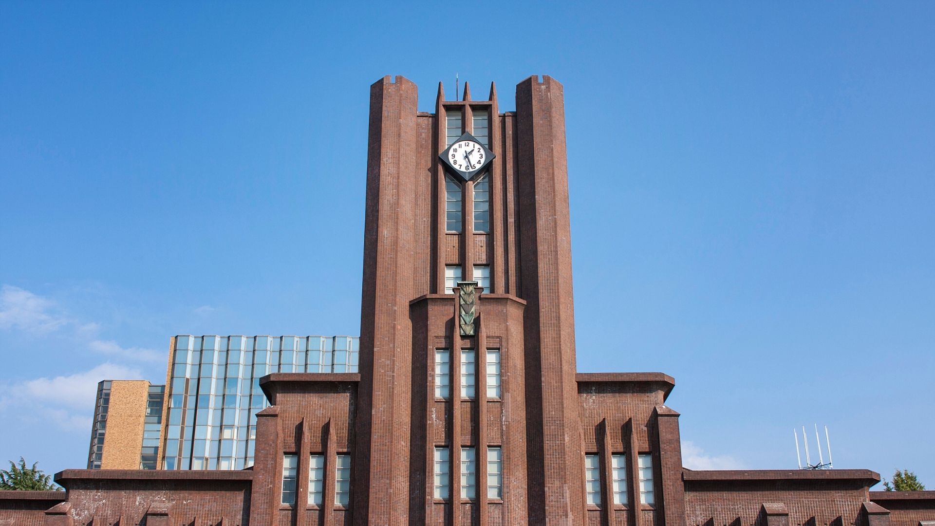 ⑤学歴（3種類）